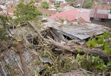 Rumah di Bandarlampung Tertimpa Pohon, Wiyadi Prihatin dan Beri Bantuan