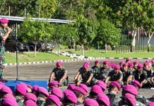 Entry Briefing Danbrigif 4 Mar/BS di Sarang Petarung Harimau Samatera
