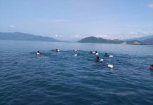Batalyon Infanteri 7 Marinir Menggelar Latihan LPD dan LPK Tahun Anggaran 2020