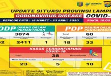 Pemerintah Provinsi Lampung Update Pasien Covid19