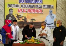 Peringati HUT BKC Lampung Ke-54, TEC Potong Tumpeng