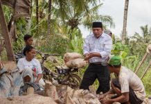 Taufik Basari Ajak Petani Lampung Menjadi Tulang Punggung Ketahanan Pangan Nasional