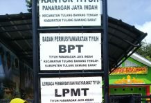 Tiyuh Panaragan Jaya Indah Menganggarkan Dana Desa Untuk Pengadaan Sarana dan Prasarana