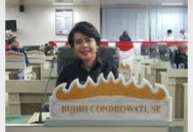 Condrowati: Pandemi Covid-19 Berdampak Pada Semua Sektor Pemerintahan