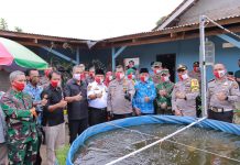 Kapolda Lampung Hadiri Panen Raya, di Kabupaten Tulang Bawang Barat