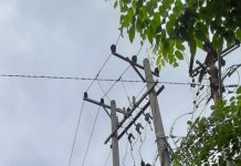Kurangnya Pengawasan, Terjadi Pencurian Kabel PLN di Gardu Distribusi