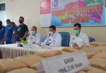 BNN Provinsi Lampung Amankan 200 kg Lebih Daun Ganja
