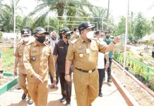Gubernur Arinal Launching Implementasi Program Kartu Petani Berjaya Di Kabupaten Pringsewu