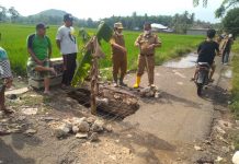 Pemkab Pesawaran Langsung Lakukan Identifikasi dan Distribusikan Bantuan