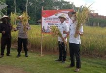 Tiyuh Waisido Diresmikan Jadi Kampung Tangguh