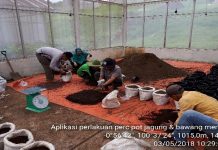 PLN Siap Optimalkan Pemanfaatan FABA, Dorong Kualitas Lingkungan yang Lebih Baik