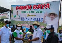Umar Ahmad, SP., Hadiri Panen Raya Perdana Bibit Unggul Padi M400