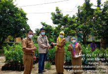 Gria suryana adhitama.S.PT.MM. Bagikan Bibit Buah Kepada Kelompok Tani