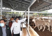 HM Ali Yusuf Siregar resmikan sentra ternak Dompet Dhuafa di Hamparan perak