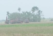 Diduga PTPN II keluarkan ijin akses jalan ke pengusaha galian C di Desa Wonosari