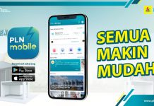 PLN Perkenalkan Produk Transformasi Digital Ketenagalistrikan