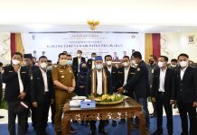 Dendi Ramadhona Resmikan Kepengurusan Karang Taruna Kabupaten Pesawaran masa bakti 2021-2026