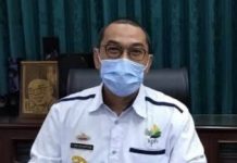 Dinas Kehutanan Provinsi Lampung Pioritaskan Perbaikan Hutan Kawasan yang Rusak