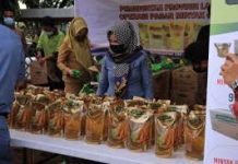 Dinsos Lampung Catat 687.090 Keluarga dapat BLT Minyak Goreng