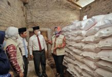 Wagub Chusnunia Tinjau Ketersediaan Pupuk Bersubsidi di Desa Bagelan, Kabupaten Pesawaran