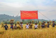 Panen Raya Padi Wujud Kerja Nyata Sukseskan Program Pemerintah