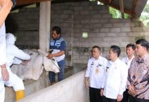 Kegiatan pencanangan Vaksin sapi untuk mencegah penyakit mulut dan kaki (PMK).