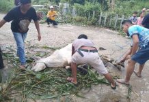 Warga Perumahan Sakura Residence Kurban Satu Ekor Sapi dan 14 Kambing