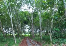 Di duga pembangunan proyek siluman tanpa di sertai ada nya papan informasi di desa Curup guruh kagungan Lampung Utara.