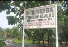 Dalam Waktu Dekat PTPN 2 Segera Bersihkan Areal HGU 103 Bulu Cina Guna peningkatan Produksi Kelapa Sawit