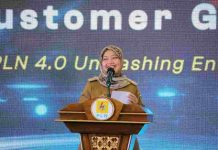 Wagub Chusnunia Ajak PLN Bersinergi dalam Elektrifikasi Desa & Dusun di Provinsi Lampung