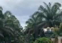 Kisruh, Warga Lima Kampung Kecamatan Pubian Tuntun Tiga Point ke Pemkab Lampung Tengah Terkait HGU PT Gunung Aji Jaya