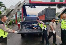 Korban Tabrak Lari Pengendara Sepeda Motor Tewas Di Tempat