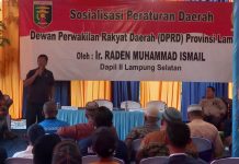 Sampaikan Peraturan Daerah No 1 Tahun 2019, Ini Kata Politisi Partai Demokrat