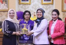 Wagub Chusnunia Menerima Kunjungan Kerja Spesifik Komisi IX DPR RI di Provinsi Lampung