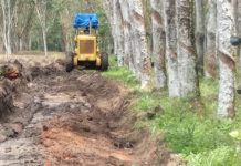Kepalo tiyuh panaragan jaya utama membuat badanjalan usaha tani