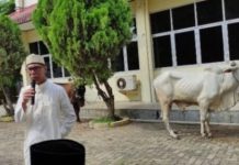 Idul Adha: Golkar Lampung Sembelih Belasan Hewan Kurban