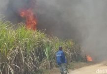 Masyarakat Meminta Gubernur Lampung Cabut Pergub Bakar Lahan Tebu