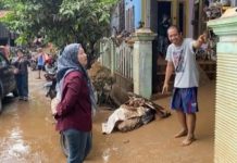 Lesty Putri Utami Tinjau Lokasi Banjir Kota Bandar Lampung