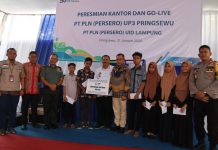 PLN UP3 Pringsewu Resmi Beroperasi, GM PLN Minta Pelayanan Makin Cepat
