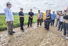 Cek Jalan Rusak, Dr. Marindo Langsung Cari Solusi