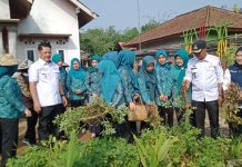 Hanita Fahrial Firsada: PKK dengan K3W Bisa Manfaatkan Hasil Kebun Cegah Stunting