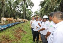 Pj Gubernur Kunker ke Desa Candimas, Abung Selatan