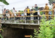 Tinjau Banjir di Way Khilau, Bupati Pesawaran Fokuskan Penanganan Pasca Banjir dan Normalisasi Sungai
