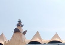 Jeritan Petani di Halaman DPRD Lampung: “Singkong Kami Bukan Mainan Harga!”