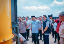 Pemprov Lampung Dukung Swasembada Pangan 2025, Petani Lampung Mulai Migrasi ke Jagung