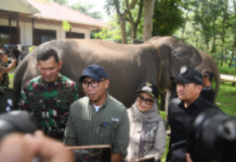 Ketua DPRD Lampung: Atensi Presiden Jadikan Way Kambas Percontohan Nasional Harus Dikawal Bersama