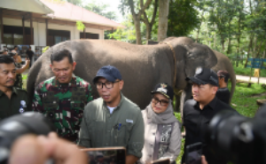 Screenshot_20260207-103939_copy_230x142_copy_300x185