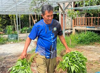 Kemarau Meluas, Heni Susilo PKS: APBD Lampung Harus Siaga Menjaga Inflasi, Pangan, dan Daya Beli Warga