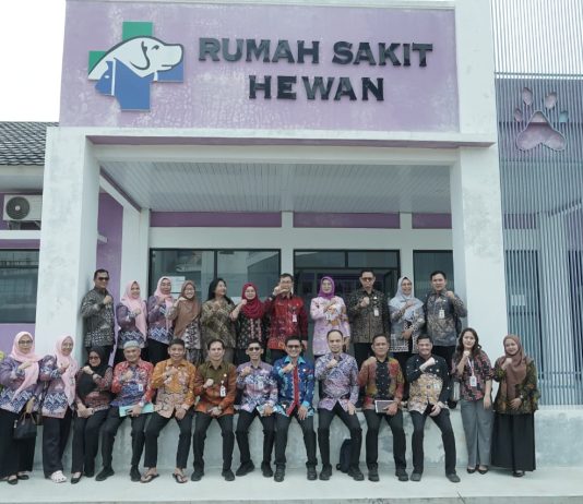 Kemendagri Verifikasi Usulan Penataan UPTD dan RSJD Pemprov Lampung, Perkuat Kelembagaan dan Layanan Publik