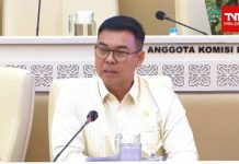Rycko Menoza dan Akademisi Soroti Batas Usia JPT Pratama, Sistem Merit Dinilai Harus Jadi Acuan Utama